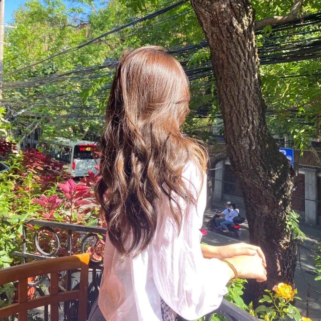 森林的终点是海